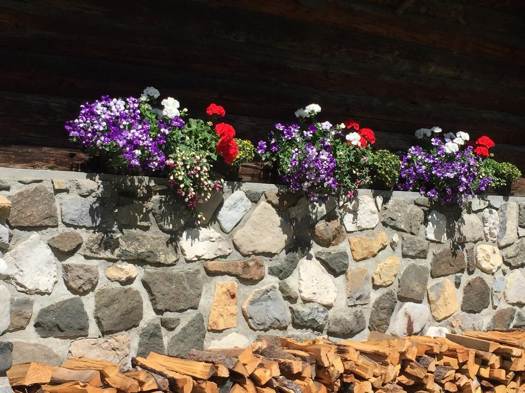 Romantik Villa Cesanueva Selva di Val Gardena Extérieur photo